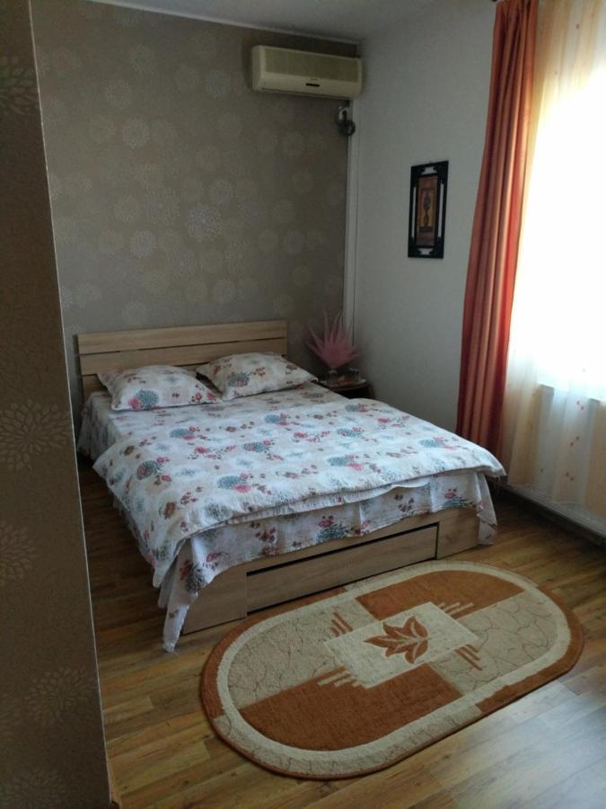 Pensiunea Vladut Temešvár Exteriér fotografie