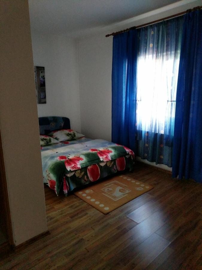 Pensiunea Vladut Temešvár Exteriér fotografie